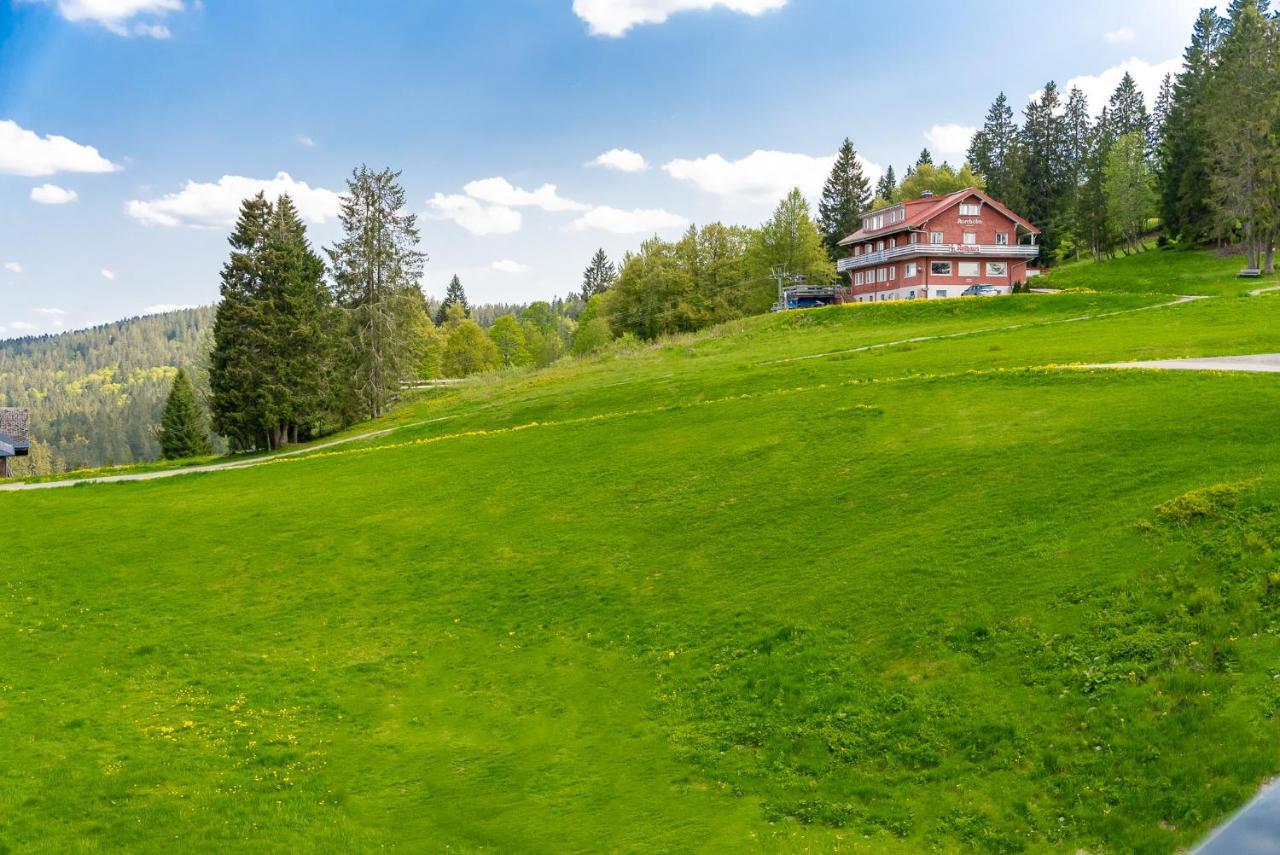 Auerhuhn Διαμέρισμα Feldberg  Εξωτερικό φωτογραφία